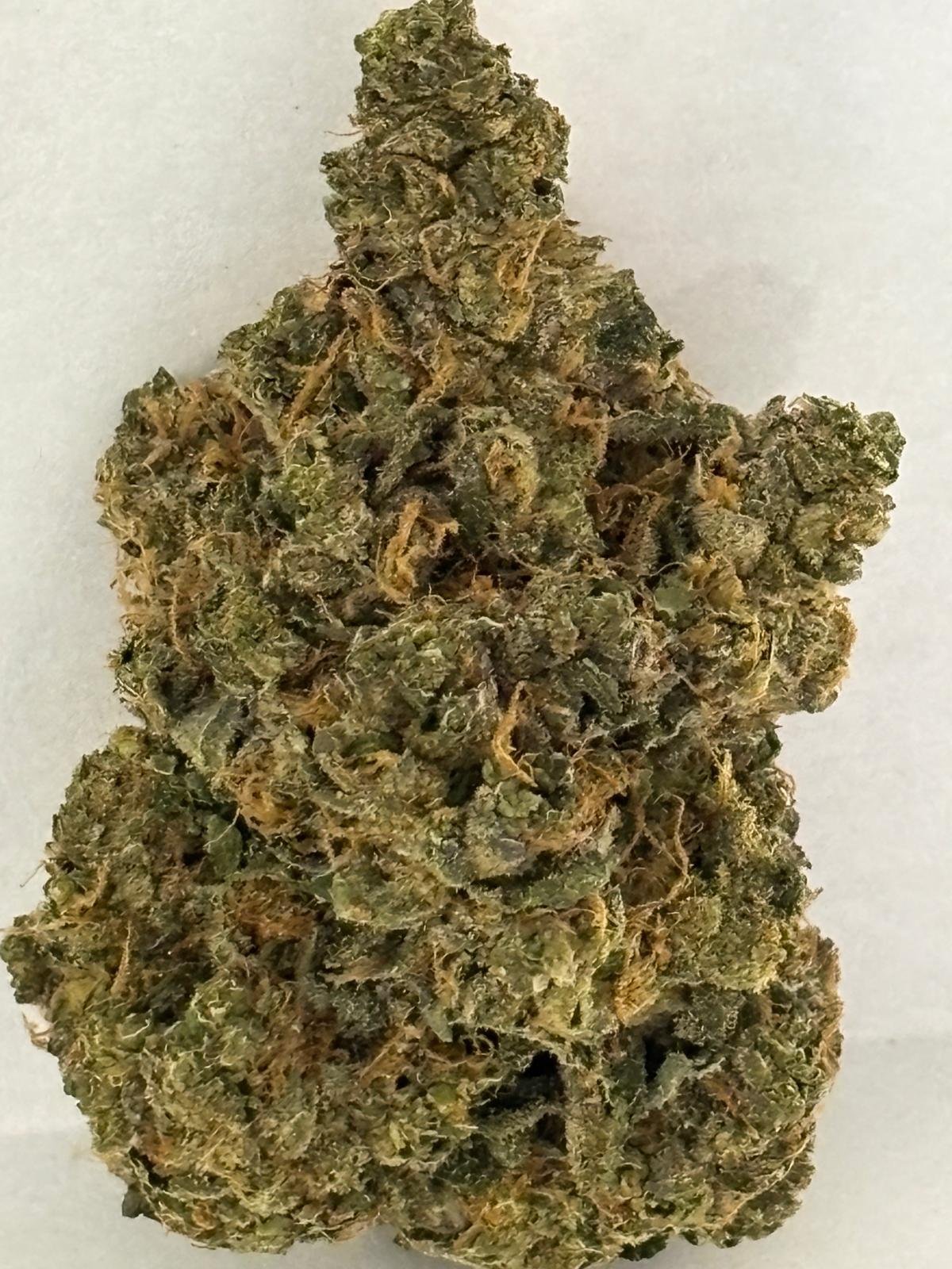 Bud Image 3